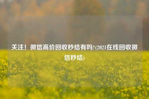 关注！微信高价回收秒结有吗?(2021在线回收微信秒结)