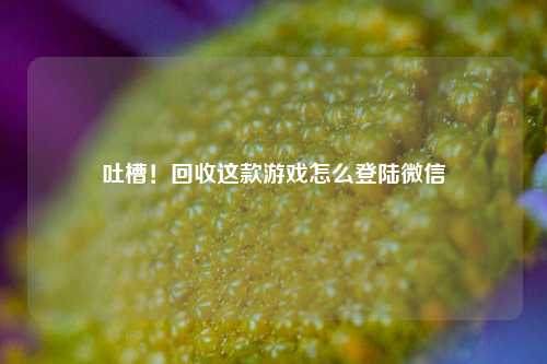 吐槽！回收这款游戏怎么登陆微信