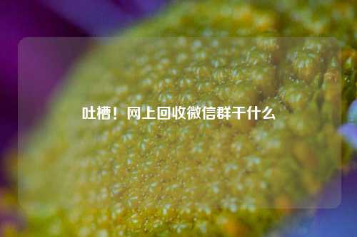 吐槽！网上回收微信群干什么