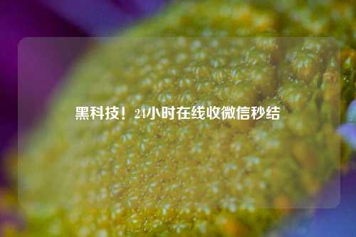 黑科技！24小时在线收微信秒结