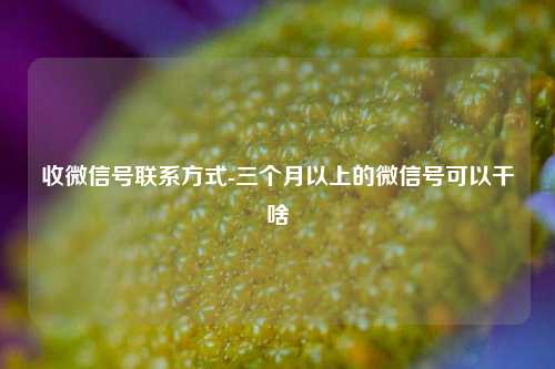 收微信号联系方式-三个月以上的微信号可以干啥