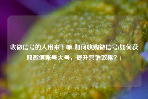 收微信号的人用来干嘛-如何收购微信号(如何获取微信账号大号，提升营销效果？)