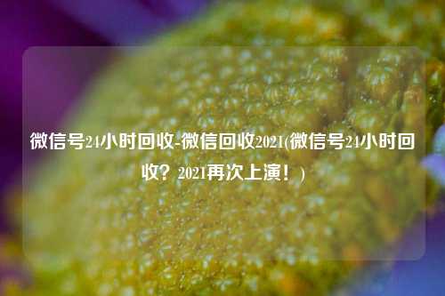 微信号24小时回收-微信回收2021(微信号24小时回收？2021再次上演！)