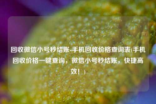 回收微信小号秒结账-手机回收价格查询表(手机回收价格一键查询，微信小号秒结账，快捷高效！)