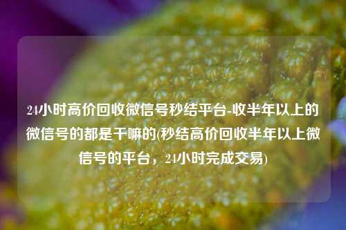 24小时高价回收微信号秒结平台-收半年以上的微信号的都是干嘛的(秒结高价回收半年以上微信号的平台，24小时完成交易)