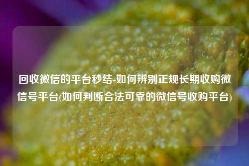 回收微信的平台秒结-如何辨别正规长期收购微信号平台(如何判断合法可靠的微信号收购平台)