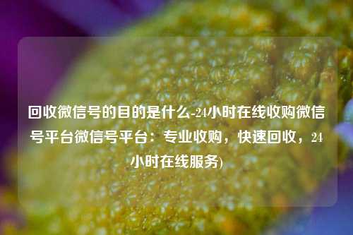 回收微信号的目的是什么-24小时在线收购微信号平台微信号平台：专业收购，快速回收，24小时在线服务)