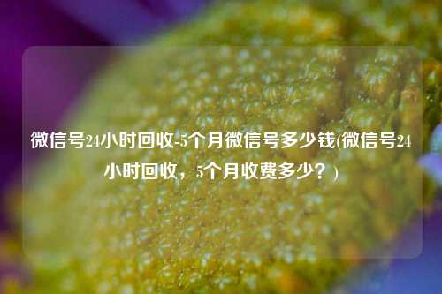 微信号24小时回收-5个月微信号多少钱(微信号24小时回收，5个月收费多少？)