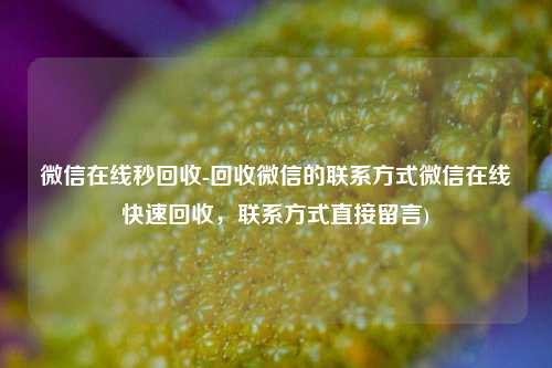 微信在线秒回收-回收微信的联系方式微信在线快速回收，联系方式直接留言)