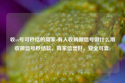 收vx号可秒结的商家-有人收购微信号做什么用收微信号秒结款，商家信誉好，安全可靠)
