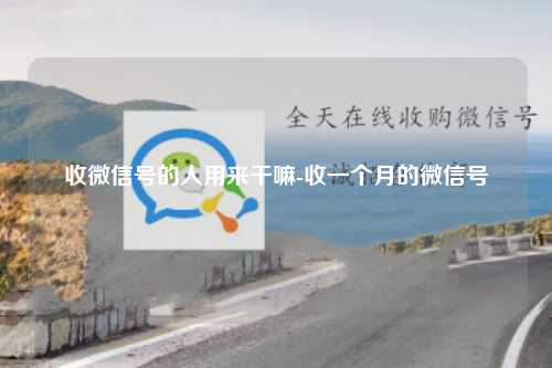 收微信号的人用来干嘛-收一个月的微信号