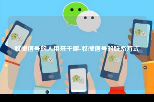 收微信号的人用来干嘛-收微信号的联系方式