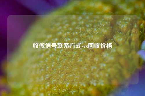 收微信号联系方式-vx回收价格