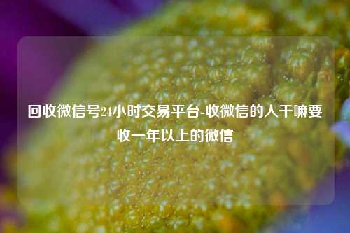 回收微信号24小时交易平台-收微信的人干嘛要收一年以上的微信